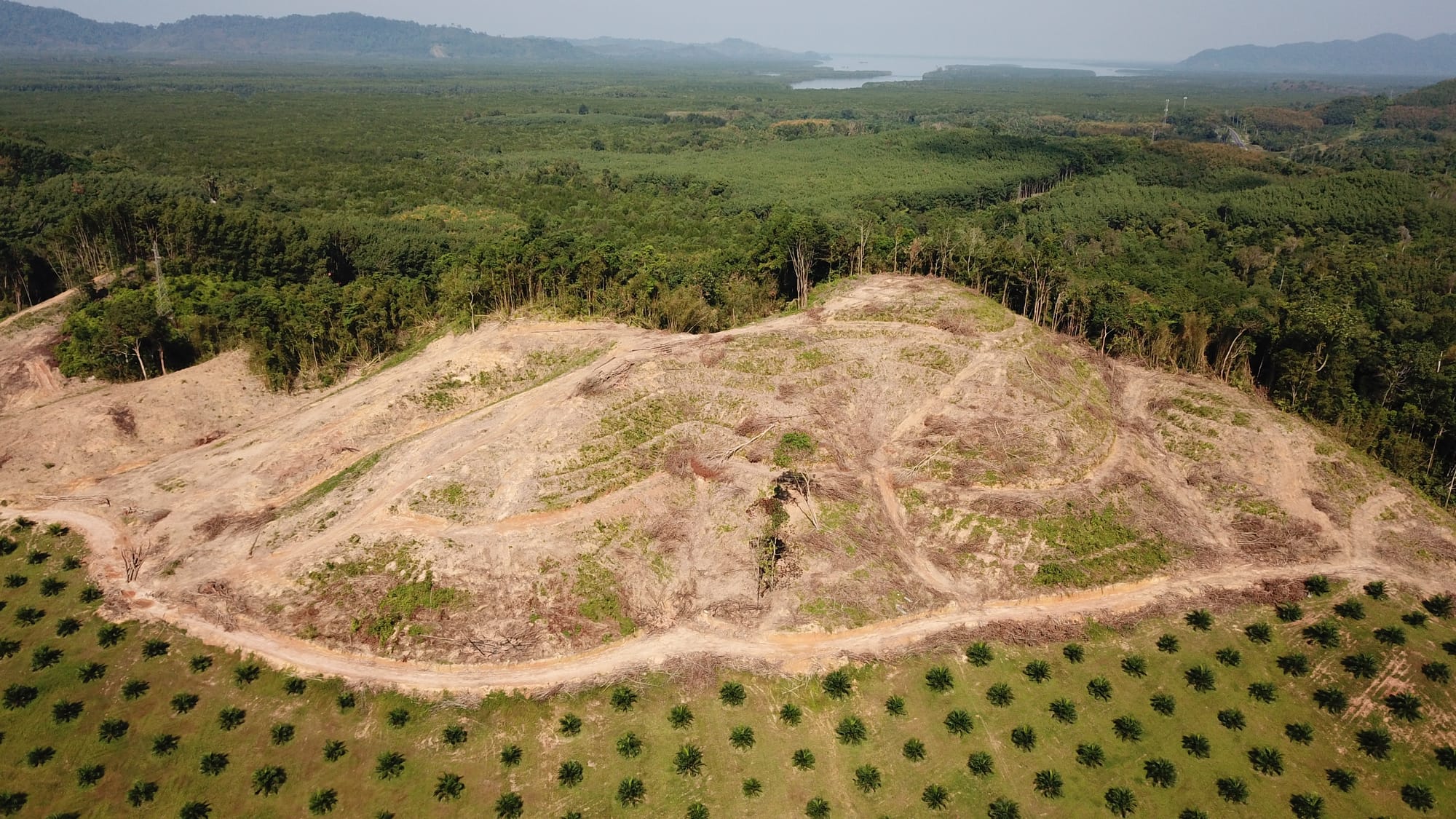 Kita Yang Hilang Alamat; Tentang Pengembaraan Hutan Dan Persoalan Tuhan